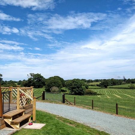 Archers Meadow Shropshire เอลส์เมียร์ ภายนอก รูปภาพ